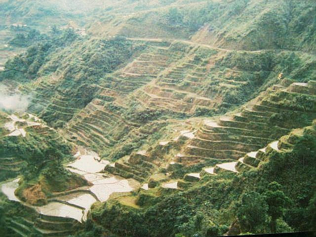 Rice terraces at Banaue in the Philippines